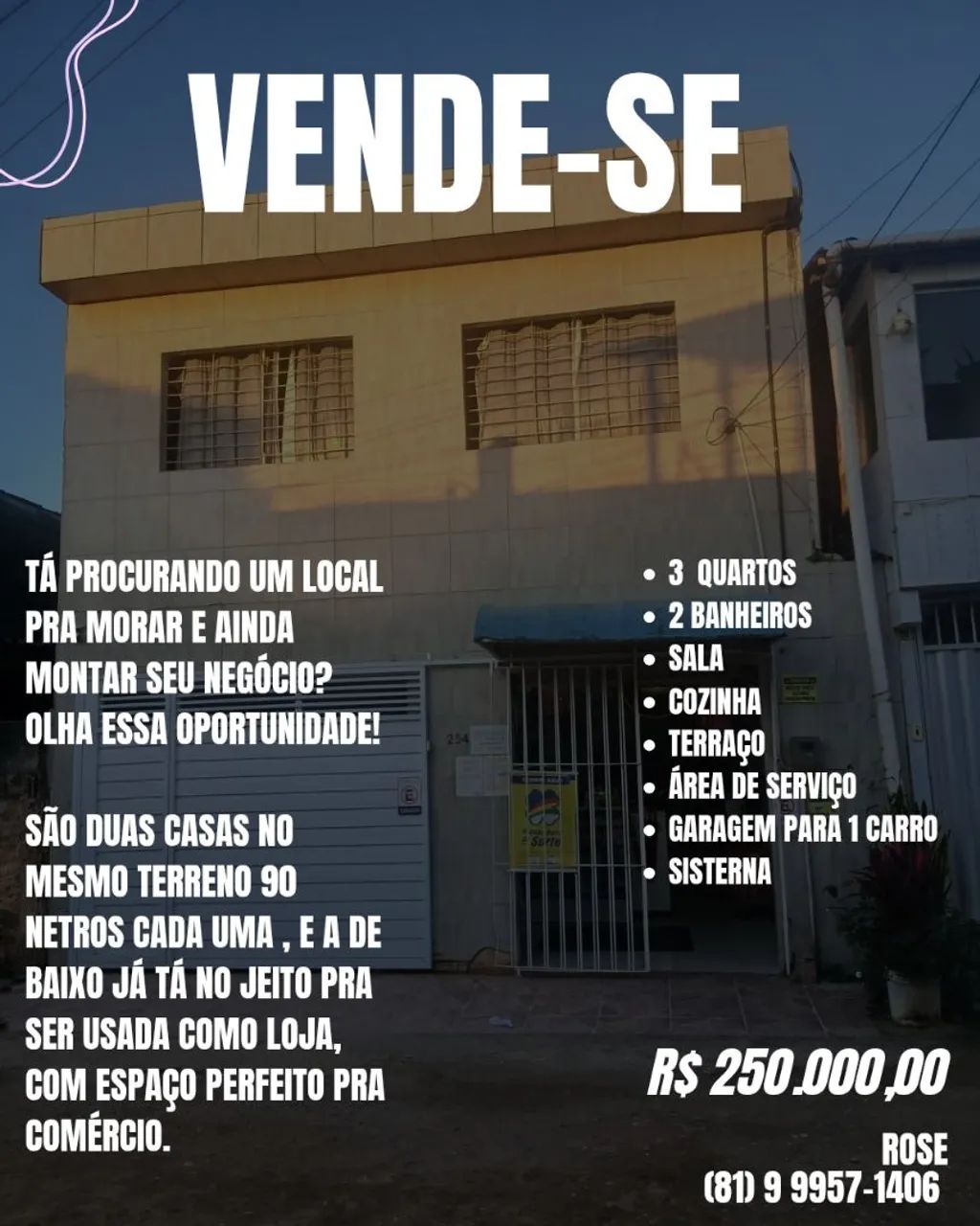 Foto - Recife - Passarinho