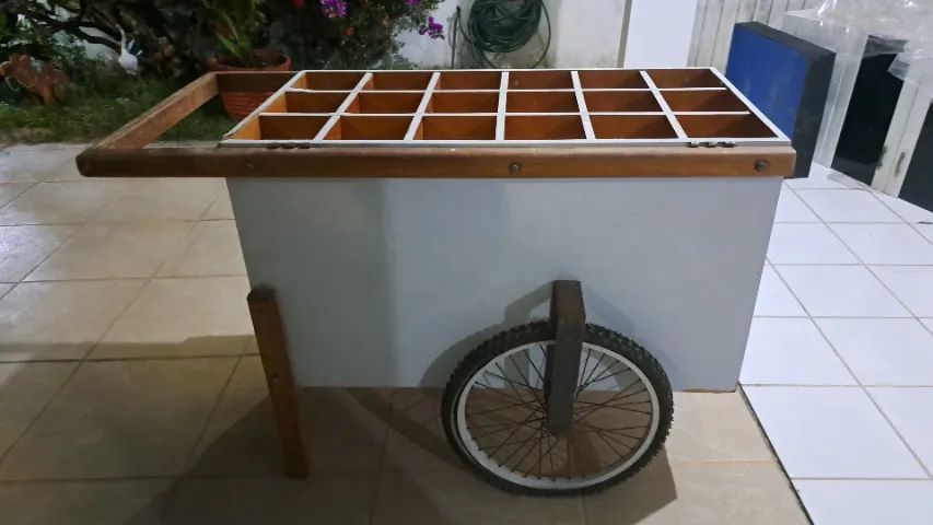 Carrinho fiteiro - Foto 2