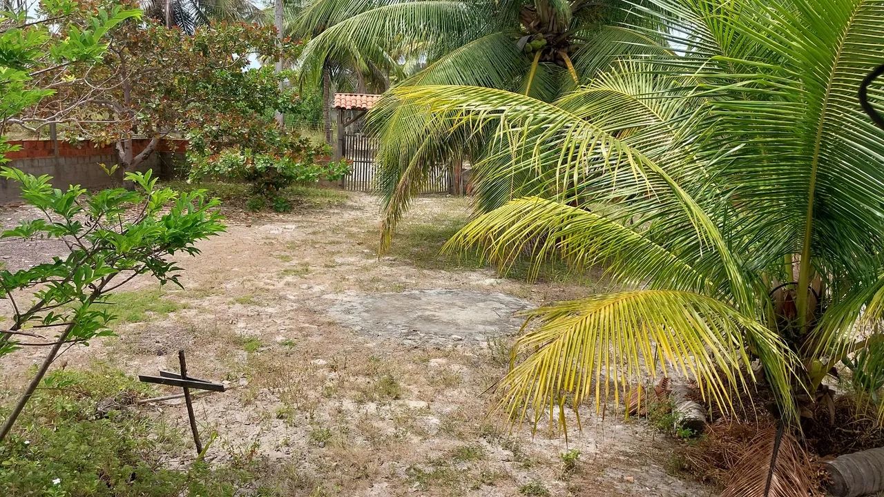 Sítio  - Foto 3