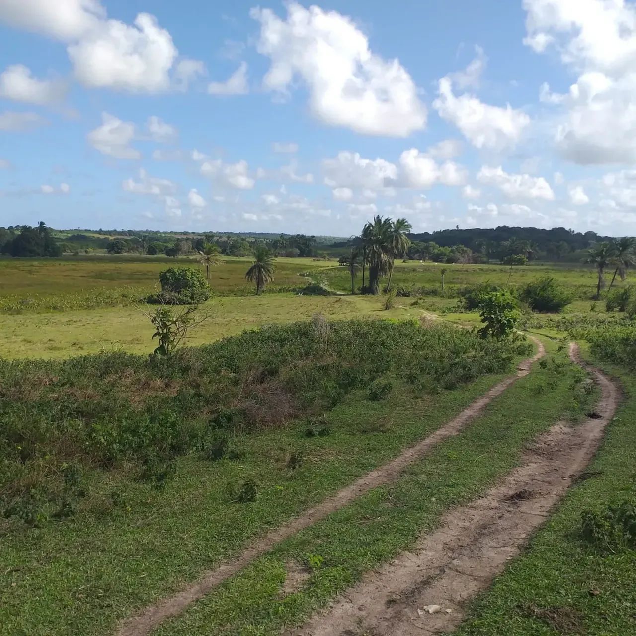 Chacará com 45 Hectares Grameme - Escritura Pública - Foto 2