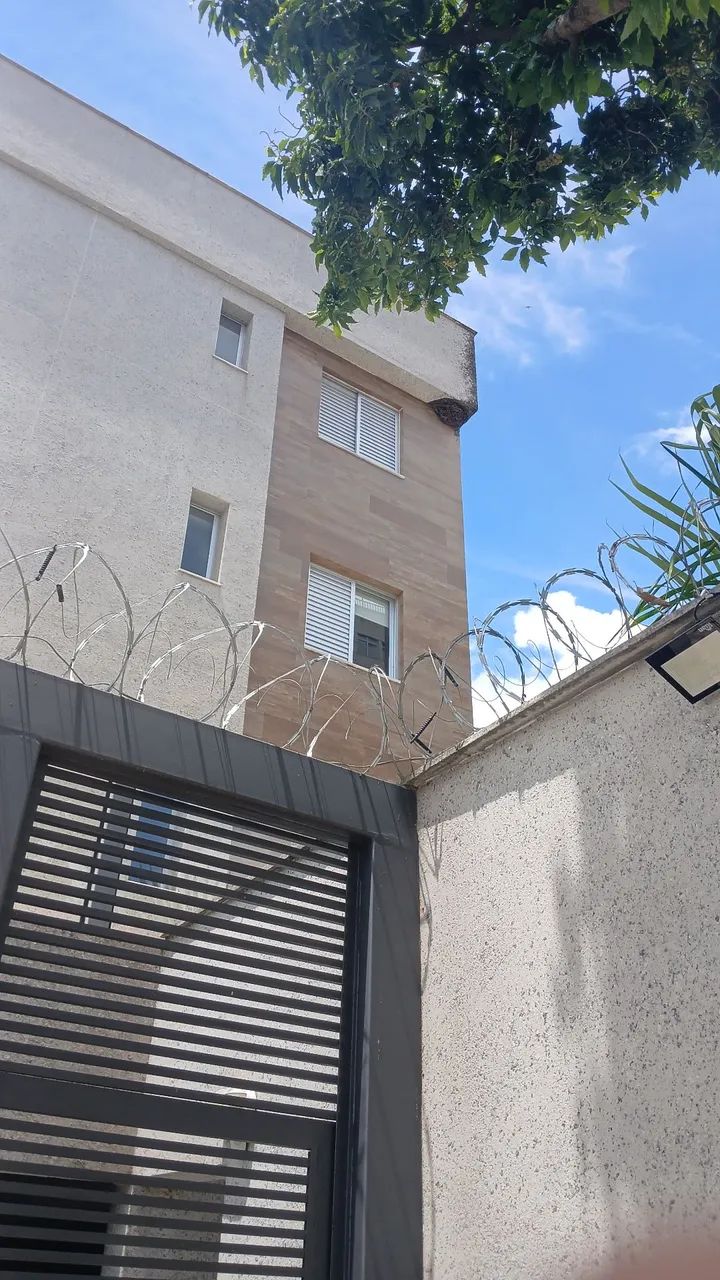 Remoção de abelha e. Marinbomdo vespas etc. - Foto 4