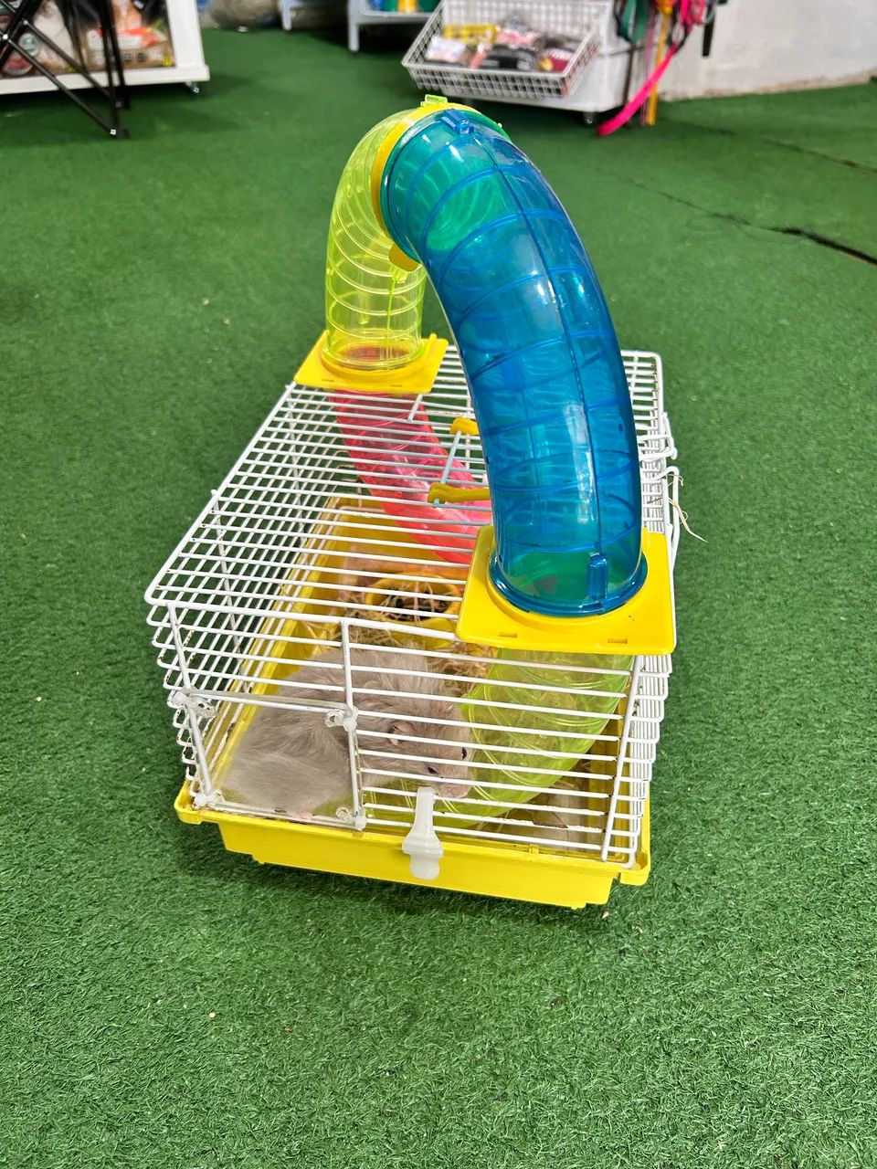 Gaiola com hamster  - Foto 3