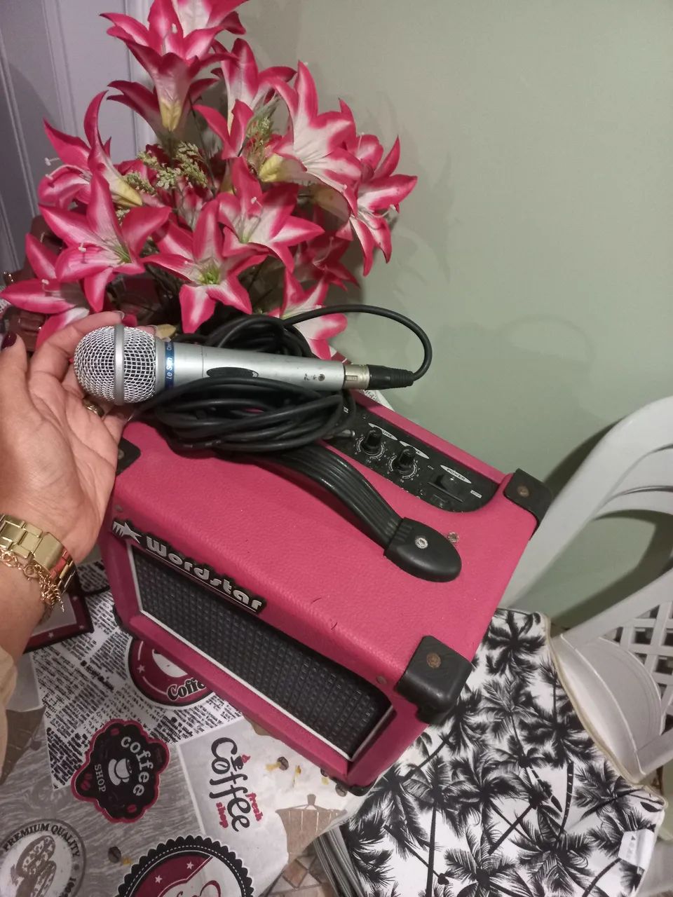 Amplificador Wordstar com microfone  - Foto 2