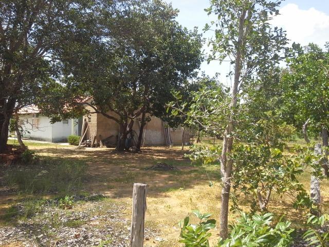 Excelente Área de 51 mil m² C/ 70 metros Beira Lago Km 29 Estrada Lajeado - Foto 10