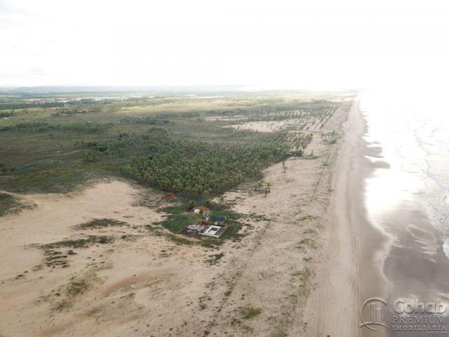 Grande área na barra dos coqueiros, a beira mar - Foto 9