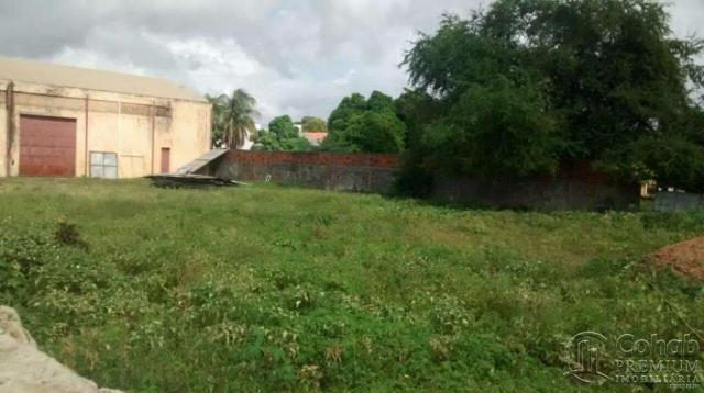 Terreno no Bairro Ponto Novo - Foto 8
