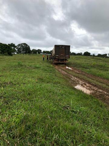 Vendo Fazenda Porteira fechada 80 hectares/DOCUMENTADA - Foto 4