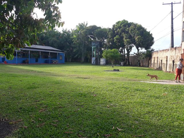 Oportunidade: terreno com 10.000 m2 proximo Avenida Mario Covas - Foto 3