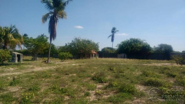 Sitio no povoado são jose - Foto 5