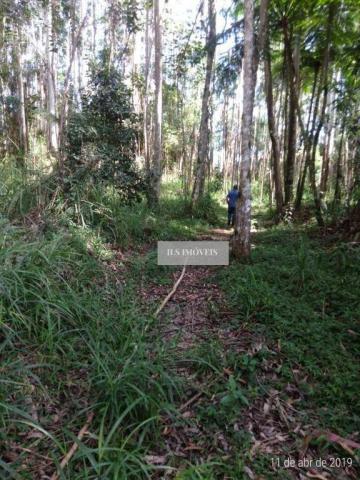 Fazenda - Foto 5