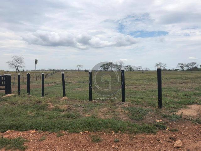 Fazenda 330 ha região chumbo poconé - Foto 7