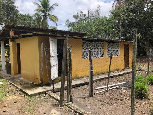 Paudalho=Vend. 500 mil=Sítio com 10 hect=Água,Energia,Piscina e muito mais - Foto 17