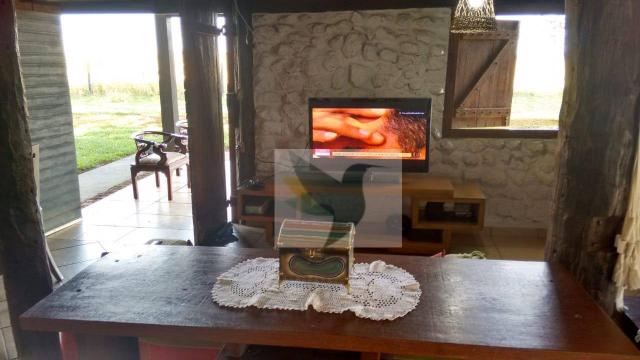 Chácara com 3 dormitórios à venda, 20000 m² por r$ 1.350.000,00 - centro - chapada dos gui - Foto 19