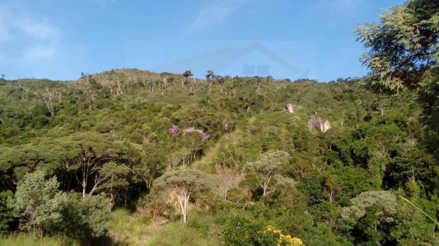 Chácara para venda em campina grande do sul, br 116 - Foto 12