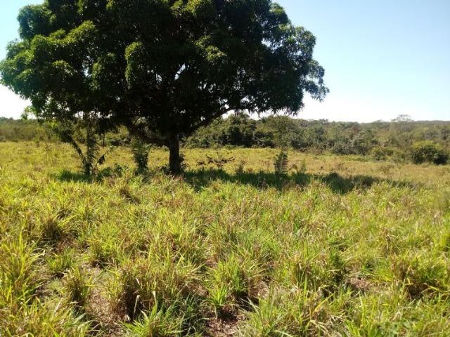 Chácara (38 hectares) a 11 km de Acorizal - Foto 17