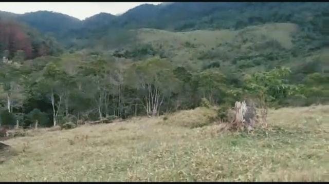 Chácara para venda em campina grande do sul, barra da cruz - Foto 10