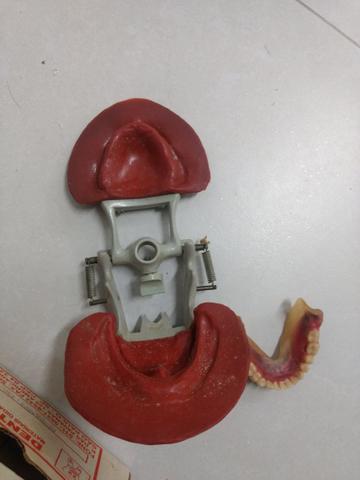 Manequim odontológico desdentado