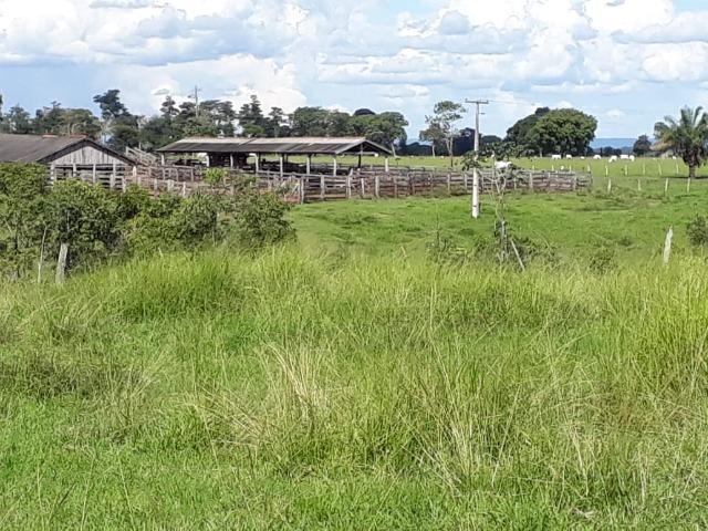 Fazenda em Arenapolis Mato Grasso Terra de Cultura - Foto 11