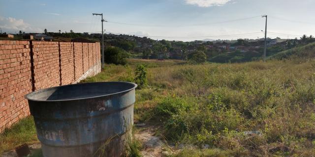 Lote em Feira Nova - Foto 4