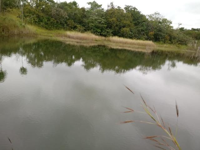 Fazenda para Pecuária com 333 hectares - Foto 7