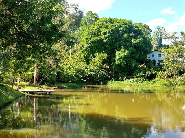 Fazenda Região de Coaraci - Foto 16
