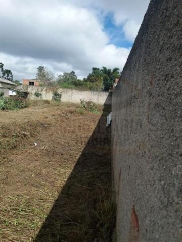 Terreno para venda em quatro barras, jardim das acácias, 2 dormitórios, 1 banheiro - Foto 12