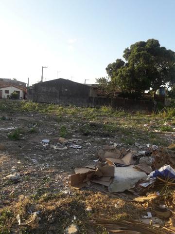 Alugo Terreno
