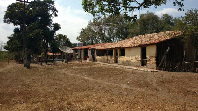 Fazenda em José de Freitas-PI - Foto 2