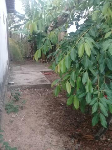 Vendo uma casa em Rosário ( 6.000 R$ - Foto 5
