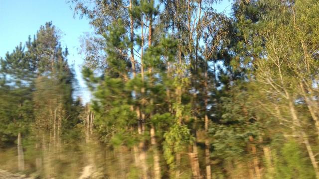 Venda - Foto 3