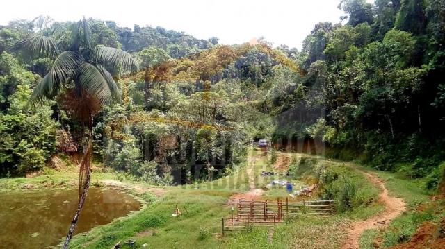 Chácara para venda em campina grande do sul, br 116 - Foto 2