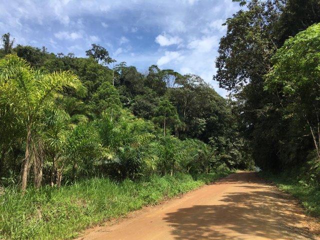 Chácara Em Guaramirim No Serenata - Foto 3