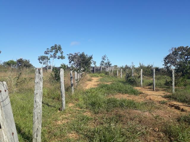 Fazenda em Rosário Oeste com 784 Hectares - Foto 11