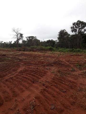 Fazenda de 750 Hectares ?Nova Maringá-MT, Troca imóveis em Campo Novo, Tangara - Foto 5