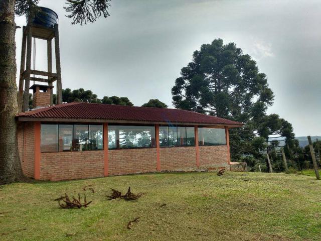 Chácara 266200m² Palmitalzinho - Foto 19