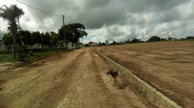 Novo loteamento em tiquaruçu - Foto 4