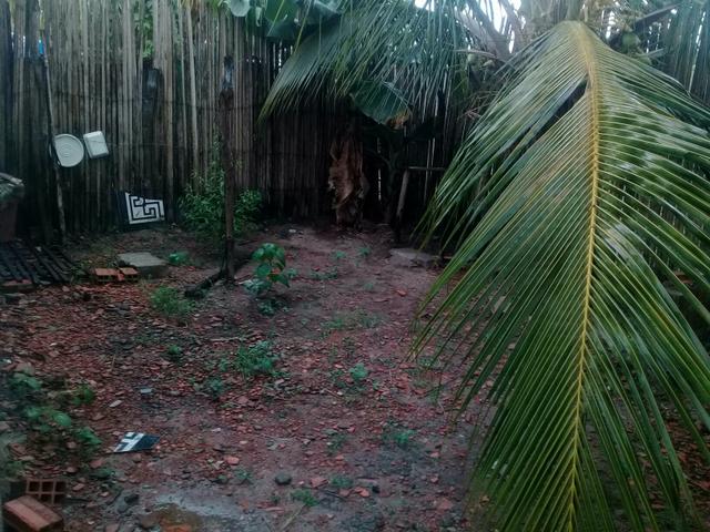 Vendo uma casa em Rosário ( 6.000 R$ - Foto 3
