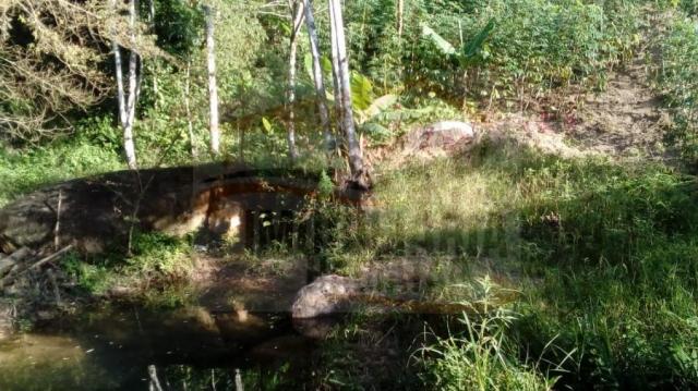 Chácara para venda em campina grande do sul, br 116 - Foto 3