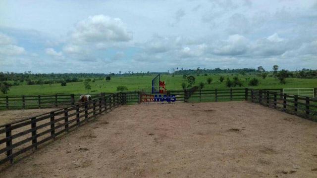 Fazenda à venda, por R$ 40.000.000 - Zona Rural - Rolim de Moura/RO - Foto 15