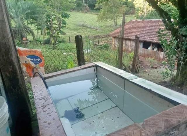 Sítio em Esperança do Sul, RS (AR2125) - Foto 10