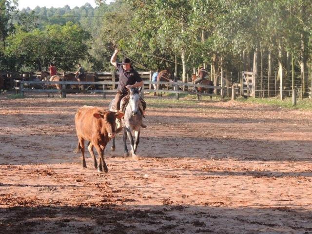 Égua crioula top no laço - Foto 3