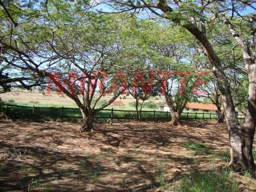 Chácara à venda em Chácara california, Boa esperança do sul cod:334447 - Foto 7