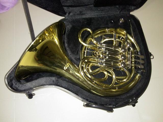 Trompa Dourada