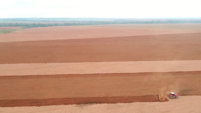 6.691 alqueires em Brasnorte  - Foto 5