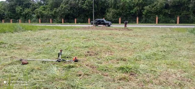 Poda de árvore ? limpeza de coqueiro limpeza de terrenos e remoção de de material. - Foto 5