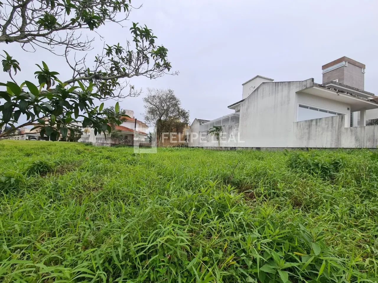 Lote / Terreno em Pedra Branca - Palhoça - Foto 6