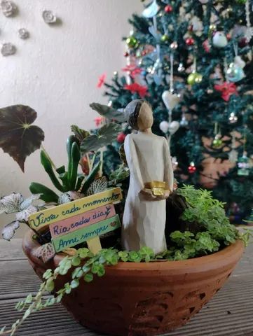 Terrários e Mini Jardins