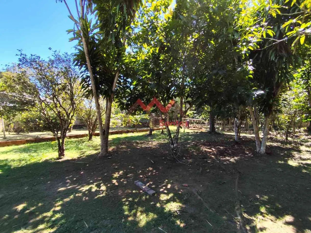 Chácara para Venda com 31.500 m², Linha Progresso, Marcos Freire - Porto Velho - RO - Foto 14