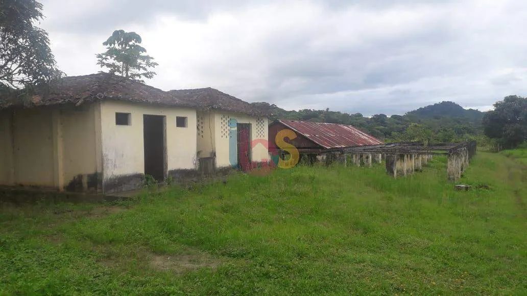 Vendo Sitio com 32 Hectares - Foto 4