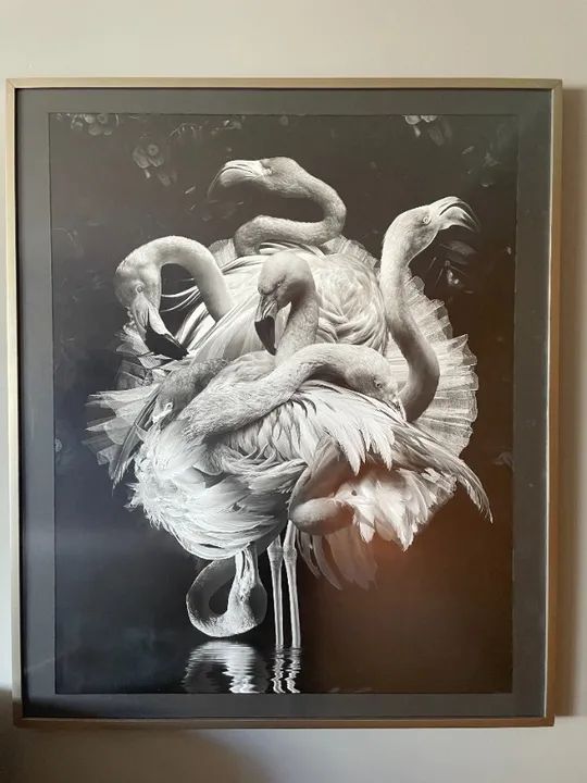 Flamengo - Marcel Van Luit - 80x100cm - Foto 3